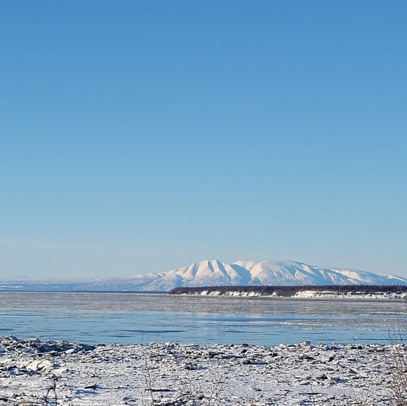 Meet Posher, JB  🧚‍♀️ Multiple Host Picks 🧚‍♂️ SHARE Fairies Live Here - Picture 9 of 15